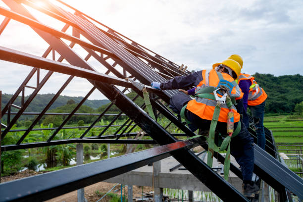 Best Roof Repair Services  in Woodville, WI