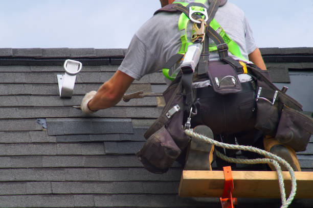 Best Residential Roof Replacement  in Woodville, WI
