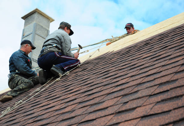Best Roof Waterproofing Services  in Woodville, WI