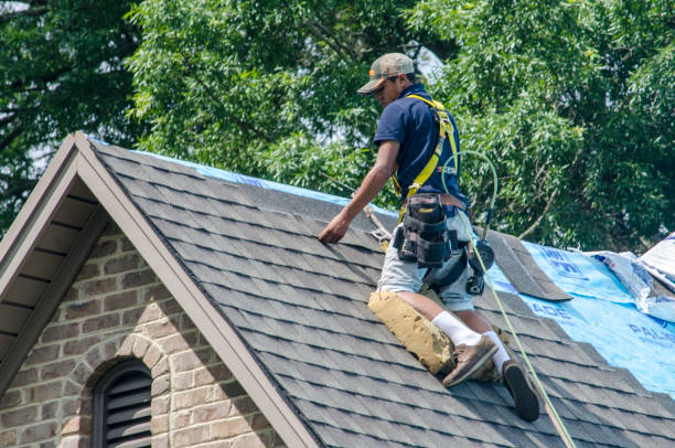 Best Local Roofing Companies  in Woodville, WI